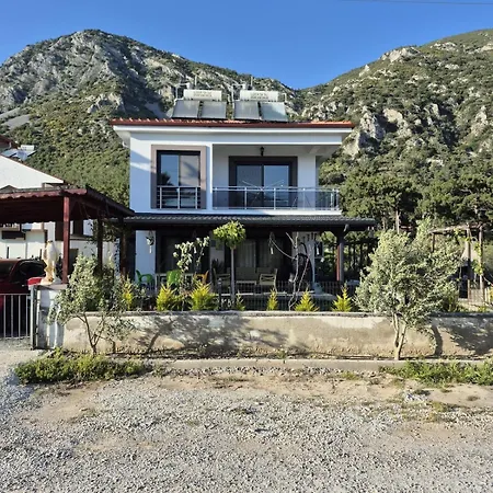 Duplex Where Spend A Summer In *